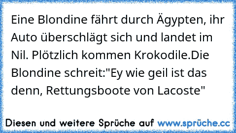 Eine Blondine fährt durch Ägypten, ihr Auto überschlägt sich und landet im Nil. Plötzlich kommen Krokodile.
Die Blondine schreit:
"Ey wie geil ist das denn, Rettungsboote von Lacoste"