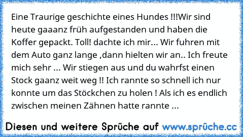 Eine Traurige geschichte eines Hundes !!!
Wir sind heute gaaanz früh aufgestanden und haben die Koffer gepackt. Toll! dachte ich mir... Wir fuhren mit dem Auto ganz lange ,dann hielten wir an.. Ich freute mich sehr ... Wir stiegen aus und du wahrfst einen Stock gaanz weit weg !! Ich rannte so schnell ich nur konnte um das Stöckchen zu holen ! Als ich es endlich zwischen meinen Zähnen hatte rann...