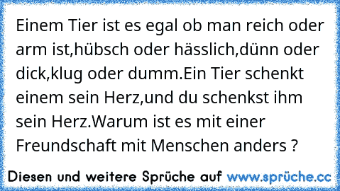 Einem Tier ist es egal ob man reich oder arm ist,
hübsch oder hässlich,
dünn oder dick,
klug oder dumm.
Ein Tier schenkt einem sein Herz,und du schenkst ihm sein Herz.
Warum ist es mit einer Freundschaft mit Menschen anders ?