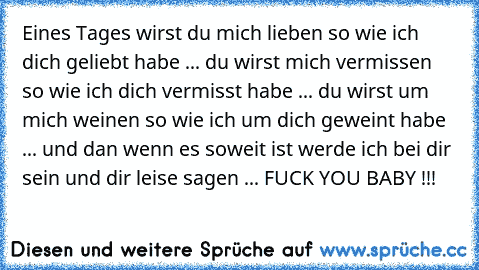 Eines Tages wirst du mich lieben so wie ich dich geliebt habe ... du wirst mich vermissen so wie ich dich vermisst habe ... du wirst um mich weinen so wie ich um dich geweint habe ... und dan wenn es soweit ist werde ich bei dir sein und dir leise sagen ... FUCK YOU BABY !!!