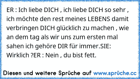 ER : Ich liebe DICH , ich liebe DICH so sehr , ich möchte den rest meines LEBENS damit verbringen DICH glücklich zu machen , wie an dem tag als wir uns zum ersten mal sahen ich gehöre DIR für immer.
SIE: Wirklich ?
ER : Nein , du bist fett.