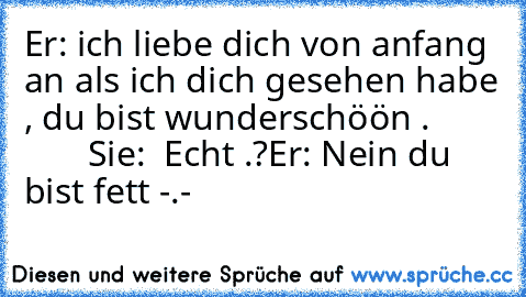 Er: ich liebe dich von anfang an als ich dich gesehen habe , du bist wunderschöön .               
Sie:  Echt .?
Er: Nein du bist fett -.-