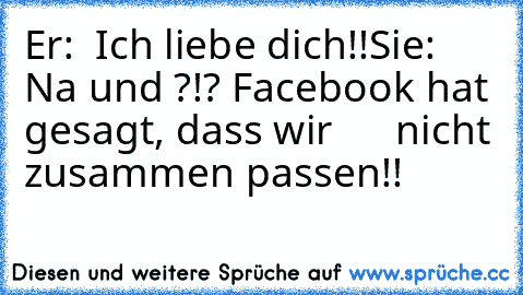 Er:  Ich liebe dich!!
Sie: Na und ?!? Facebook hat gesagt, dass wir
      nicht zusammen passen!!