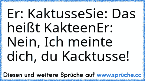 Er: Kaktusse
Sie: Das heißt Kakteen
Er: Nein, Ich meinte dich, du Kacktusse!