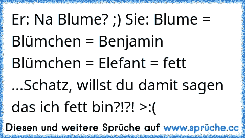 Er: Na Blume? ;) ♥
Sie: Blume = Blümchen = Benjamin Blümchen = Elefant = fett ...Schatz, willst du damit sagen das ich fett bin?!?! >:(