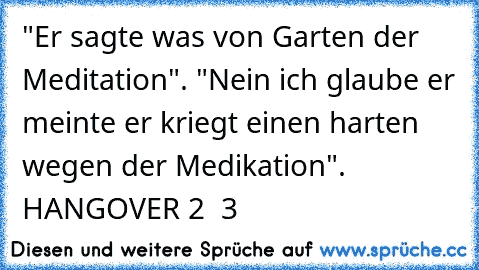 "Er sagte was von Garten der Meditation". "Nein ich glaube er meinte er kriegt einen harten wegen der Medikation".  HANGOVER 2  ♥3