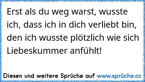 Erst als du weg warst, wusste ich, dass ich in dich verliebt bin, den ich wusste plötzlich wie sich Liebeskummer anfühlt! ♥