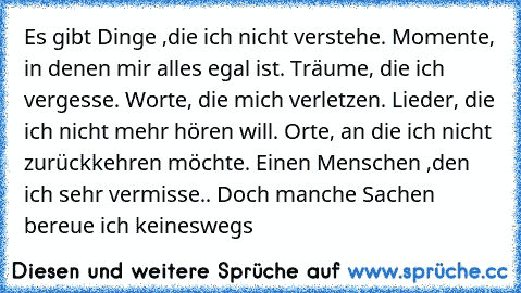 Es gibt Dinge ,die ich nicht verstehe. Momente, in denen mir alles egal ist. Träume, die ich vergesse. Worte, die mich verletzen. Lieder, die ich nicht mehr hören will. Orte, an die ich nicht zurückkehren möchte. Einen Menschen ,den ich sehr vermisse.. Doch manche Sachen bereue ich keineswegs…