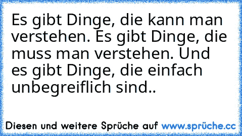 Es gibt Dinge, die kann man verstehen. Es gibt Dinge, die muss man verstehen. Und es gibt Dinge, die einfach unbegreiflich sind..