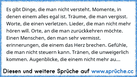 Es gibt Dinge, die man nicht versteht. Momente, in denen einem alles egal ist. Träume, die man vergisst. Worte, die einen verletzen. Lieder, die man nicht mehr hören will. Orte, an die man zurückkehren möchte. Einen Menschen, den man sehr vermisst. erinnerungen, die einem das Herz brechen. Gefühle, die man nicht steuern kann. Tränen, die unweigerlich kommen. Augenblicke, die einem nicht mehr au...