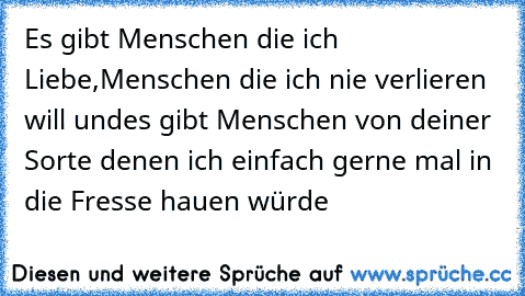 Es gibt Menschen die ich Liebe,
Menschen die ich nie verlieren will und
es gibt Menschen von deiner Sorte denen ich einfach gerne mal in die Fresse hauen würde