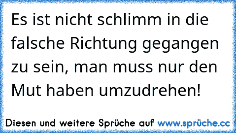 Es ist nicht schlimm in die falsche Richtung gegangen zu sein, man muss nur den Mut haben umzudrehen!