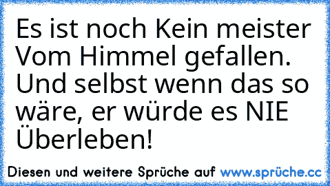 Es ist noch Kein meister Vom Himmel gefallen. 
Und selbst wenn das so wäre, er würde es NIE Überleben!