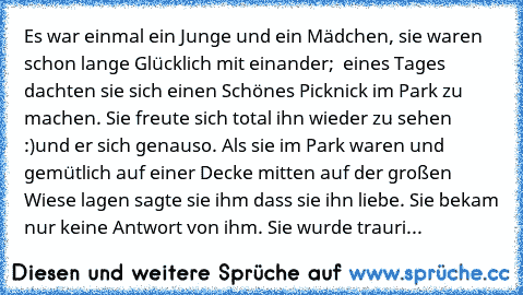 Es war einmal ein Junge und ein Mädchen, sie waren schon lange Glücklich mit einander;  eines Tages dachten sie sich einen Schönes Picknick im Park zu machen. Sie freute sich total ihn wieder zu sehen :)und er sich genauso. Als sie im Park waren und gemütlich auf einer Decke mitten auf der großen Wiese lagen sagte sie ihm dass sie ihn liebe. Sie bekam nur keine Antwort von ihm. Sie wurde traurig &...