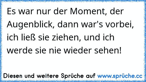 Es war nur der Moment, der Augenblick, dann war's vorbei, ich ließ sie ziehen, und ich werde sie nie wieder sehen!