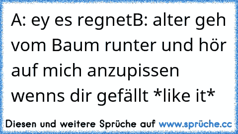 A: ey es regnet
B: alter geh vom Baum runter und hör auf mich anzupissen
 wenns dir gefällt *like it*