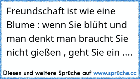 Freundschaft ist wie eine Blume : wenn Sie blüht und man denkt man braucht Sie nicht gießen , geht Sie ein ....