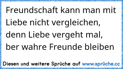 Freundschaft kann man mit Liebe nicht vergleichen, denn Liebe vergeht mal, ber wahre Freunde bleiben ♥