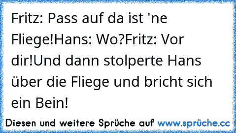 Fritz: Pass auf da ist 'ne Fliege!
Hans: Wo?
Fritz: Vor dir!
Und dann stolperte Hans über die Fliege und bricht sich ein Bein!