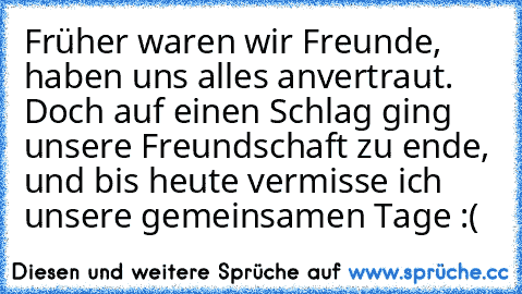 Früher waren wir Freunde, haben uns alles anvertraut. Doch auf einen Schlag ging unsere Freundschaft zu ende, und bis heute vermisse ich unsere gemeinsamen Tage :(