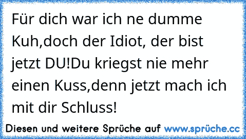 Für dich war ich ´ne dumme Kuh,
doch der Idiot, der bist jetzt DU!
Du kriegst nie mehr einen Kuss,
denn jetzt mach ich mit dir Schluss!