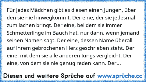 Für jedes Mädchen gibt es diesen einen Jungen, über den sie nie hinwegkommt. Der eine, der sie jedesmal zum lachen bringt. Der eine, bei dem sie immer Schmetterlinge im Bauch hat, nur dann, wenn jemand seinen Namen sagt. Der eine, dessen Name überall auf ihrem gebrochenen Herz geschrieben steht. Der eine, mit dem sie alle anderen Jungs vergleicht. Der eine, von dem sie nie genug reden kann. Der...