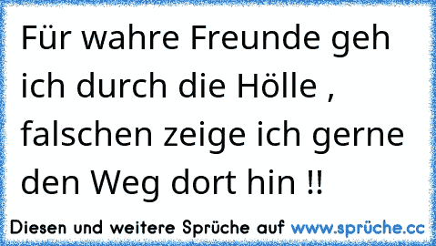 Für wahre Freunde geh ich durch die Hölle , falschen zeige ich gerne den Weg dort hin !!