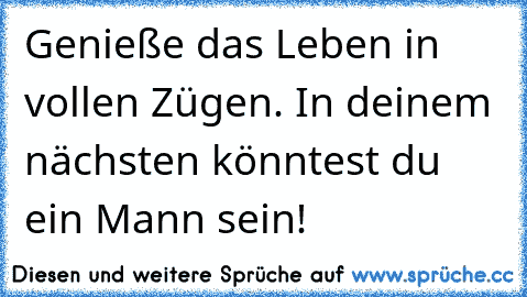 Genieße das Leben in vollen Zügen. In deinem nächsten könntest du ein Mann sein!