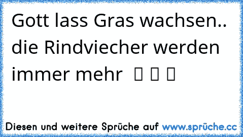 Gott lass Gras wachsen.. die Rindviecher werden immer mehr  ツ ツ ツ