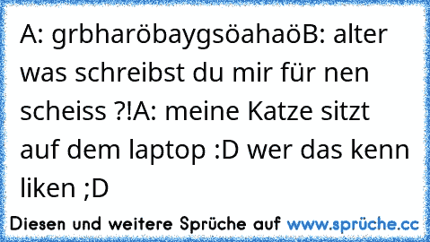 A: grbharöbaygsöahaö
B: alter was schreibst du mir für nen scheiss ?!
A: meine Katze sitzt auf dem laptop :D 
wer das kenn liken ;D ♥