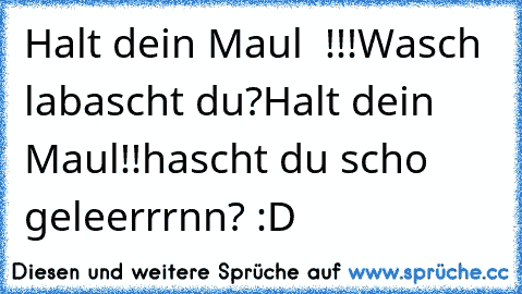 Halt dein Maul  !!!
Wasch labascht du?
Halt dein Maul!!
hascht du scho geleerrrnn? :D