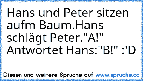 Hans und Peter sitzen aufm Baum.Hans schlägt Peter."A!" Antwortet Hans:"B!" :'D
