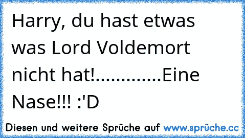 Harry, du hast etwas was Lord Voldemort nicht hat!
.
.
.
.
.
.
.
.
.
.
.
.
.
Eine Nase!!! :'D