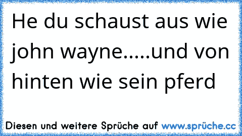 He du schaust aus wie john wayne.....und von hinten wie sein pferd