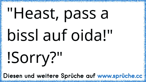 "Heast, pass a bissl auf oida!" !Sorry?"