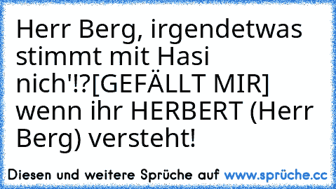 Herr Berg, irgendetwas stimmt mit Hasi nich'!?[GEFÄLLT MIR] wenn ihr HERBERT (Herr Berg) versteht!