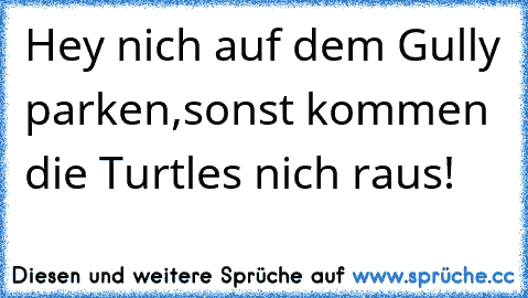 Hey nich auf dem Gully parken,
sonst kommen die Turtles nich raus!