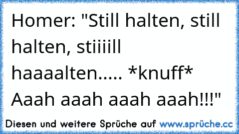 Homer: "Still halten, still halten, stiiiill haaaalten..... *knuff* Aaah aaah aaah aaah!!!"