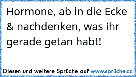 Hormone, ab in die Ecke & nachdenken, was ihr gerade getan habt!