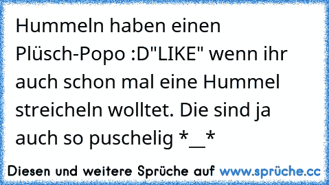 Hummeln haben einen Plüsch-Popo :D
"LIKE" wenn ihr auch schon mal eine Hummel streicheln wolltet. Die sind ja auch so puschelig *__*