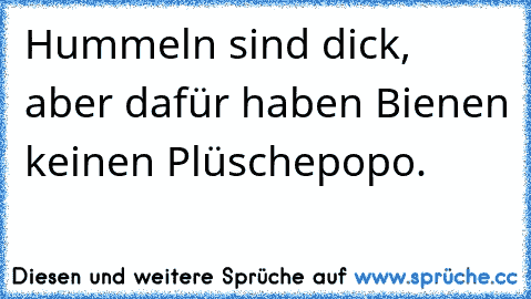 Hummeln sind dick, aber dafür haben Bienen keinen Plüschepopo.