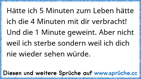 Hätte ich 5 Minuten zum Leben hätte ich die 4 Minuten mit dir verbracht! Und die 1 Minute geweint. Aber nicht weil ich sterbe sondern weil ich dich nie wieder sehen würde.