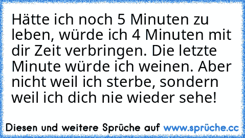 Hätte ich noch 5 Minuten zu leben, würde ich 4 Minuten mit dir Zeit verbringen. Die letzte Minute würde ich weinen. Aber nicht weil ich sterbe, sondern weil ich dich nie wieder sehe!♥