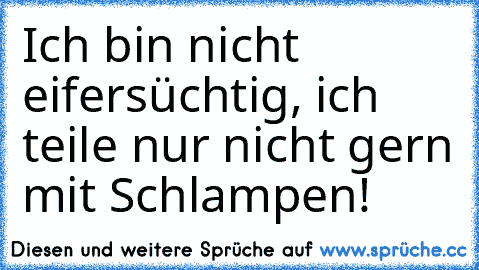 Ich bin nicht eifersüchtig, ich teile nur nicht gern mit Schlampen!