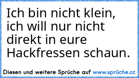 Ich bin nicht klein, ich will nur nicht direkt in eure Hackfressen schaun.