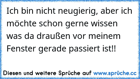 Ich bin nicht neugierig, aber ich möchte schon gerne wissen was da draußen vor meinem Fenster gerade passiert ist!!