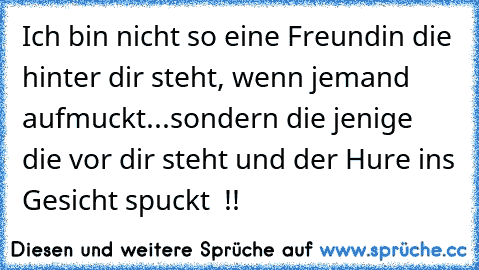 Ich bin nicht so eine Freundin die hinter dir steht, wenn jemand aufmuckt...sondern die jenige die vor dir steht und der Hure ins Gesicht spuckt  !!