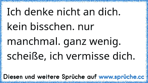 Ich denke nicht an dich. kein bisschen. nur manchmal. ganz wenig. scheiße, ich vermisse dich.