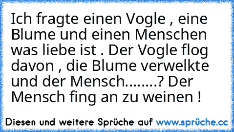 Ich fragte einen Vogle , eine Blume und einen Menschen was liebe ist . Der Vogle flog davon , die Blume verwelkte und der Mensch........? Der Mensch fing an zu weinen !