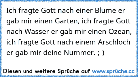 Ich fragte Gott nach einer Blume er gab mir einen Garten, ich fragte Gott nach Wasser er gab mir einen Ozean, ich fragte Gott nach einem Arschloch er gab mir deine Nummer. ;-)